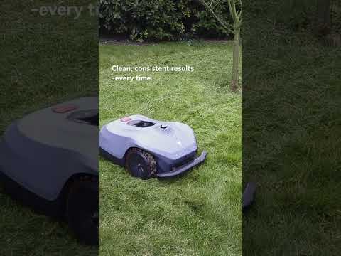 Working Video
