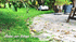 RoboUP Raccoon 2 SE Robotic Lawn Mower up to 600 m² without Boundary Wire & RTK